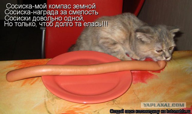Я только мясо поправлю