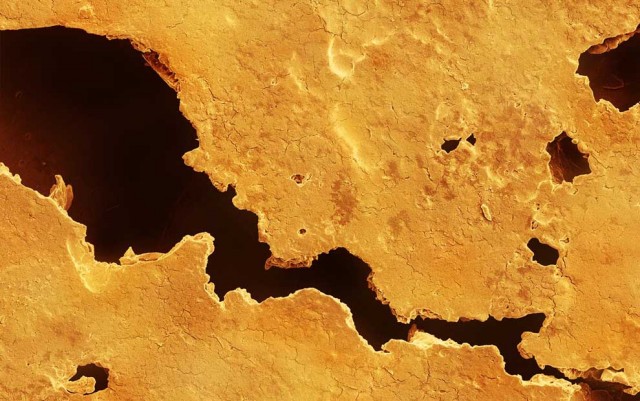 Еда под электронным микроскопом