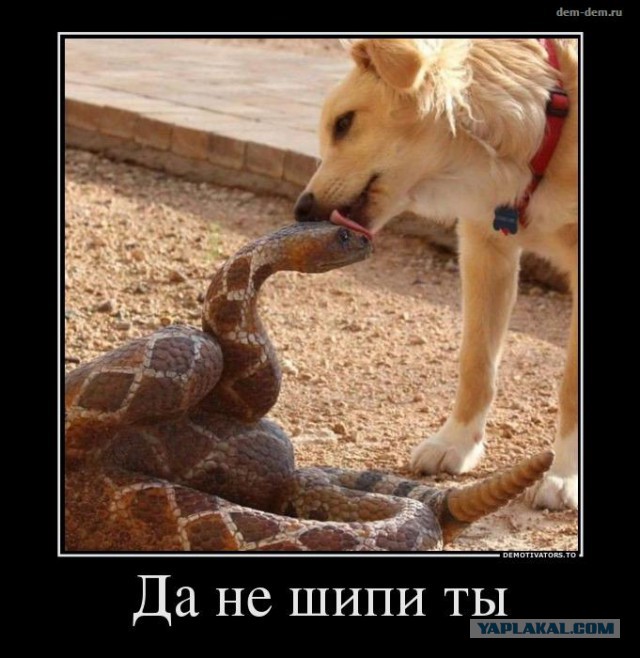 Демотиваторов пост, добавляйте свои