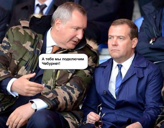 Наши любимые