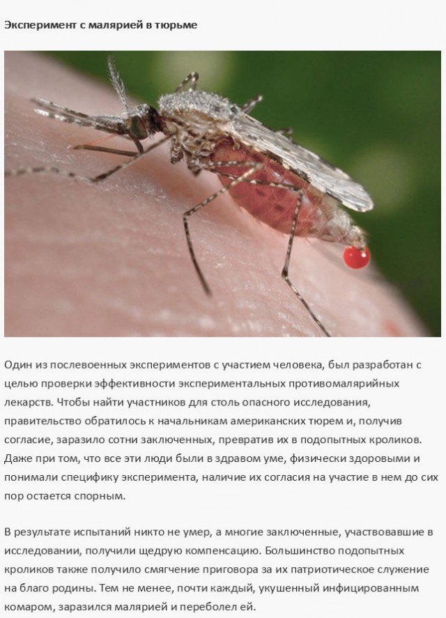 Жуткие эксперименты над людьми