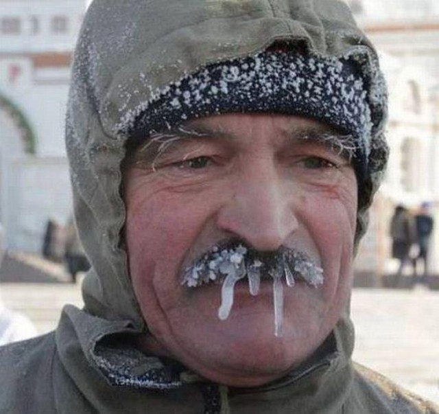 Весёлые картинки