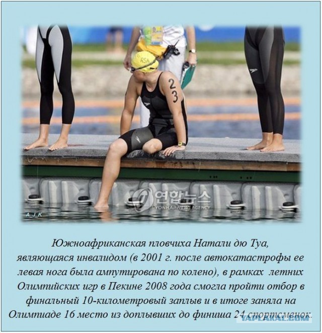 20 фактов обо всем