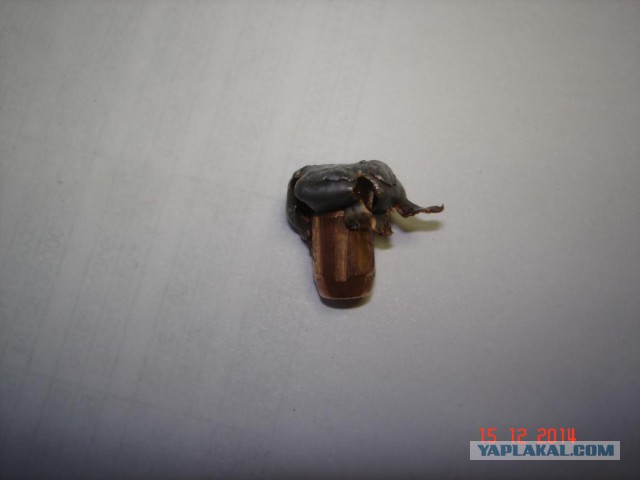 Мой охотничий арсенал