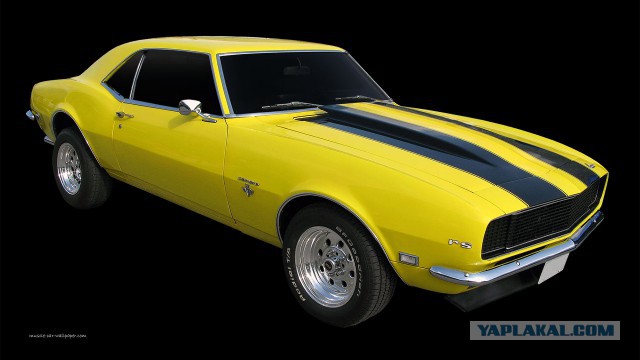 Muscle cars. История сумасшествия