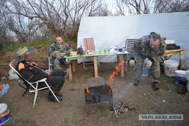 Рыбалка на воблу