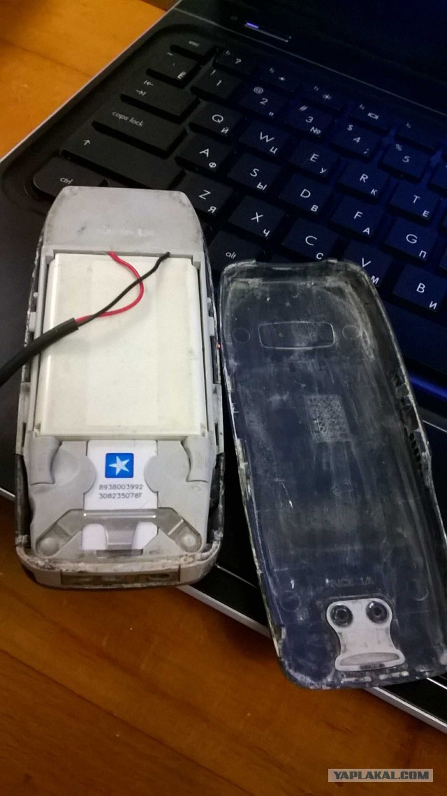 У кого есть Nokia 3310? Устроим междусобойчик?