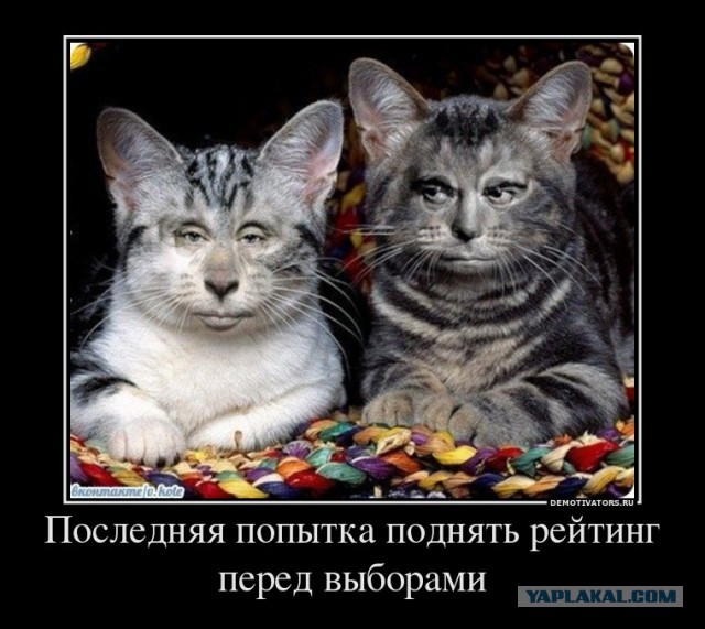 Рейтинг Путина достиг 90 процентов!