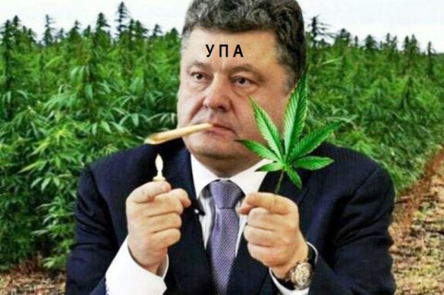 В Украине ввели паспортный режим
