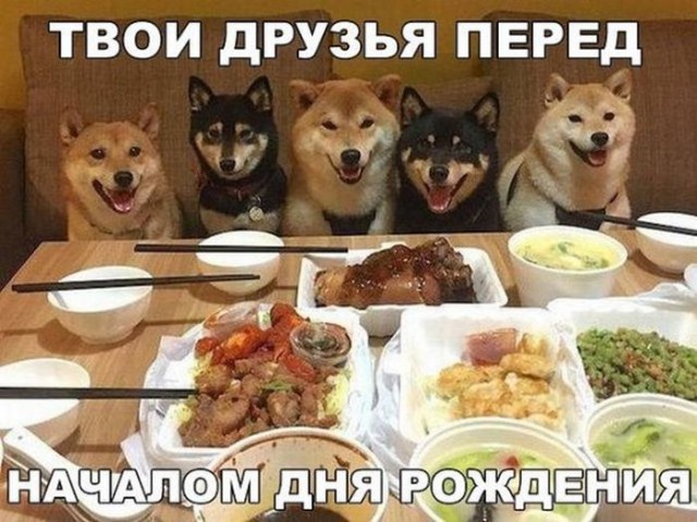 Картинки на пятницу