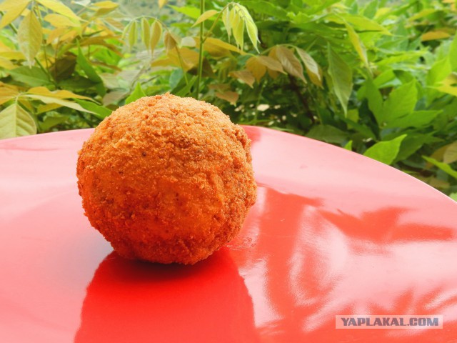 Фастфуд-пикник на день рождения ЯПа