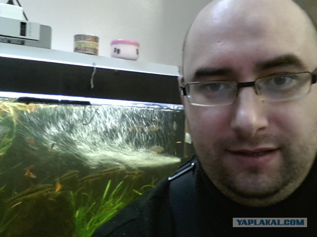 Смелые ЯПовцы.