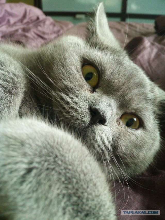 Невероятные места на планете, в существование которых сложно поверить