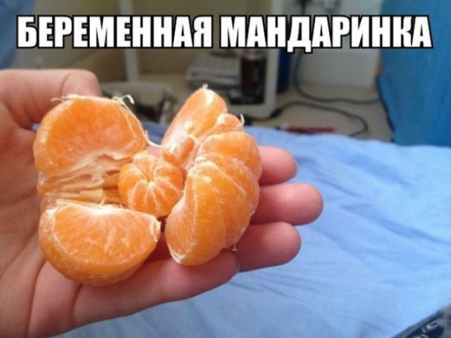 Журнал деградант