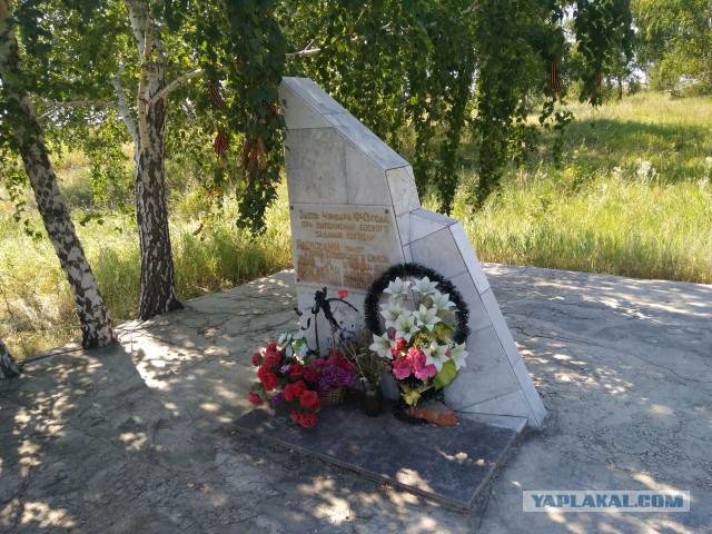 Нашего полку прибыло!