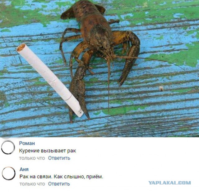 Они не пошли против системы, они её сломали к чёрту