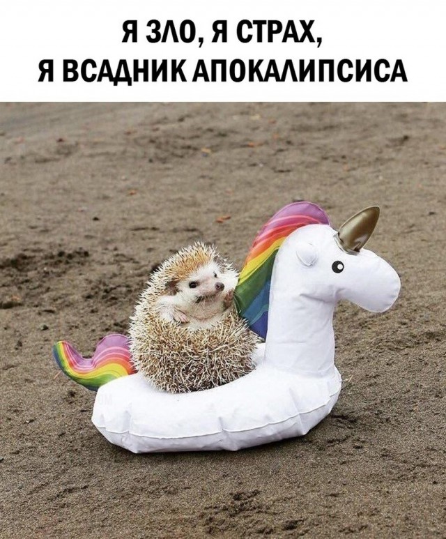 Подборка интересных и веселых картинок