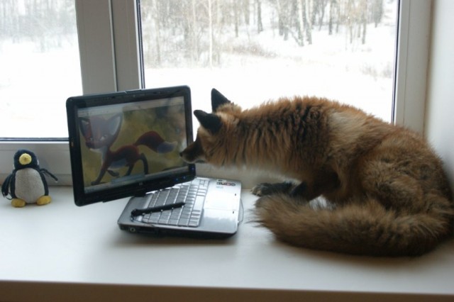 Огненный лис