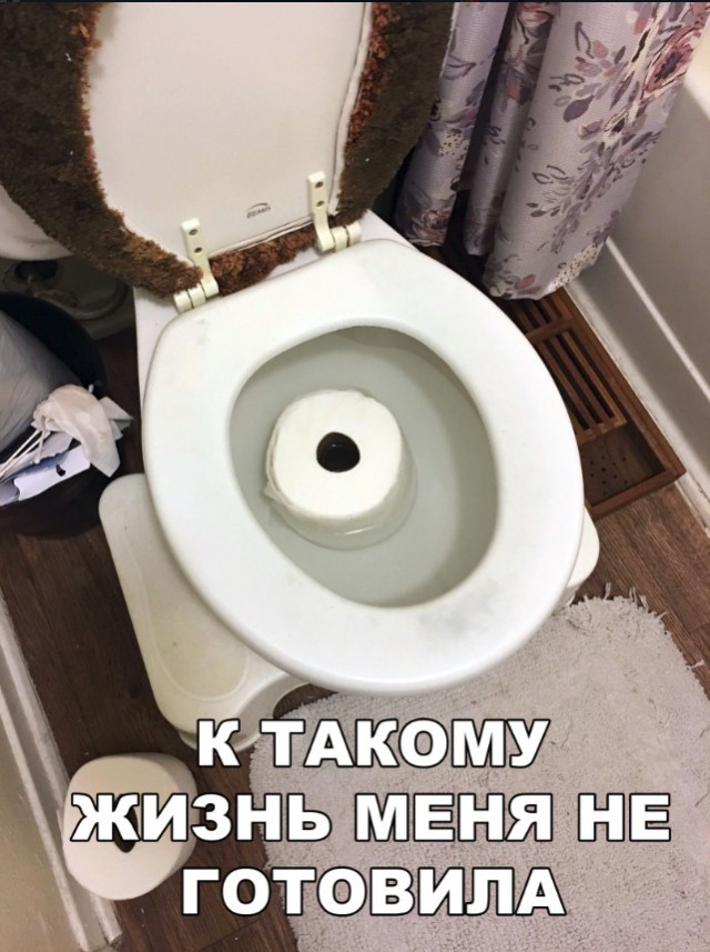 Прикольные картинки абавсём