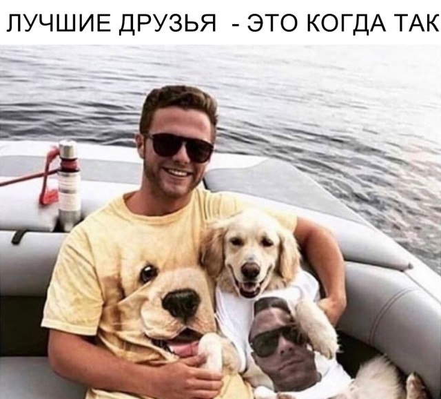 Милые животные. Мимиметр сломался