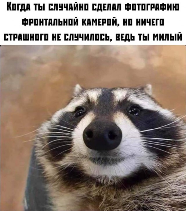 Немного картинок для настроения