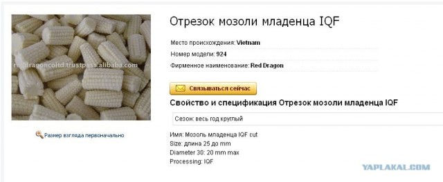 Трудности перевода