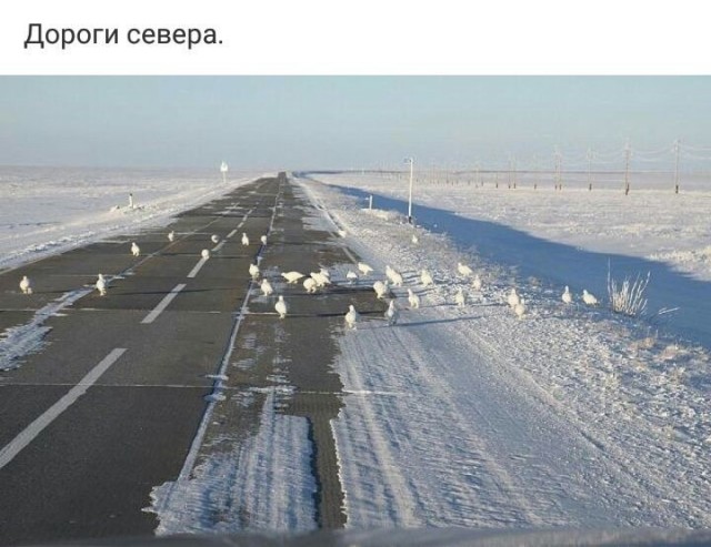 Прикольные и просто красивые картинки 04.12.2019