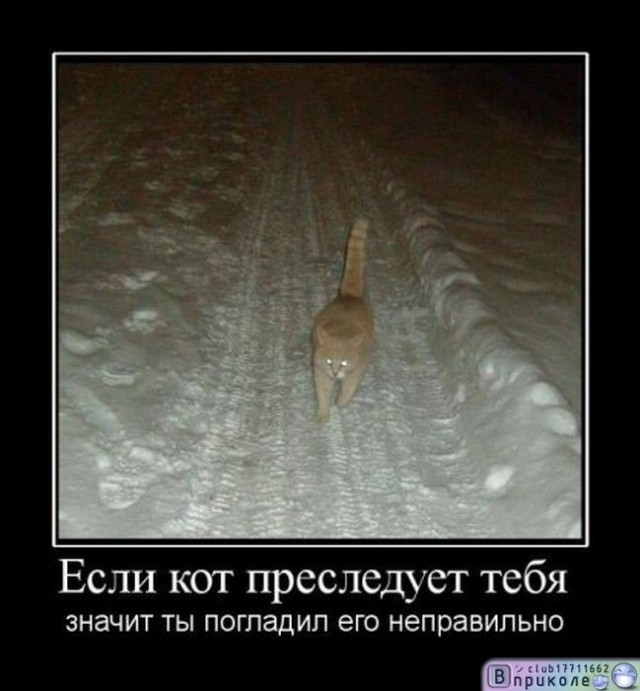 Древние мемы с ВК. Для тех кто забыл