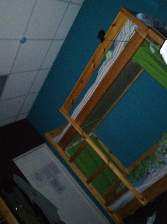 Кто приютит?