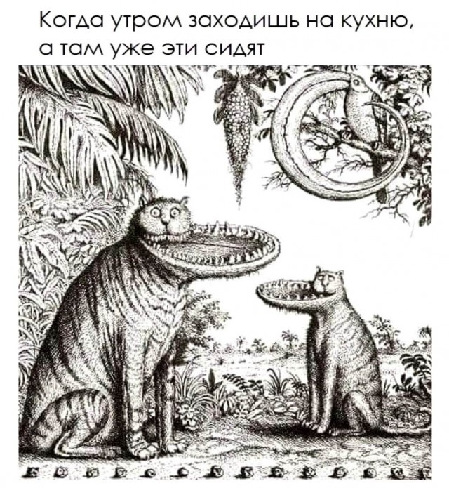 Шерстяные они такие