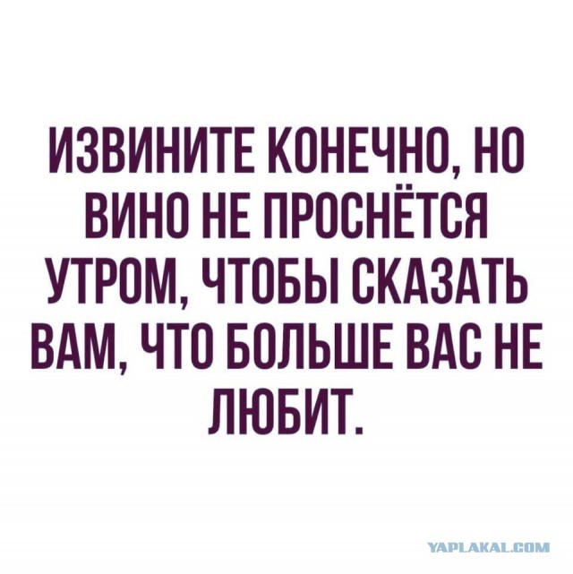 Чуток картинок 15.04.20