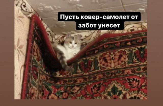 Бредзона 23.04.20