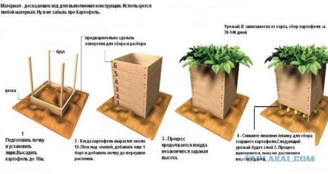 Тут случайно никому дом, не дорого, не надо?
