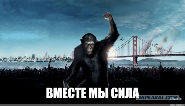 Мирные протестующие Нью-Йорка