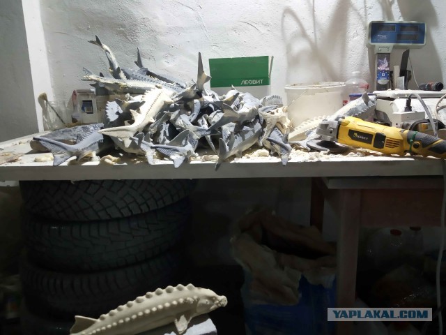 Изготовление декоративного панно "Осетровые"