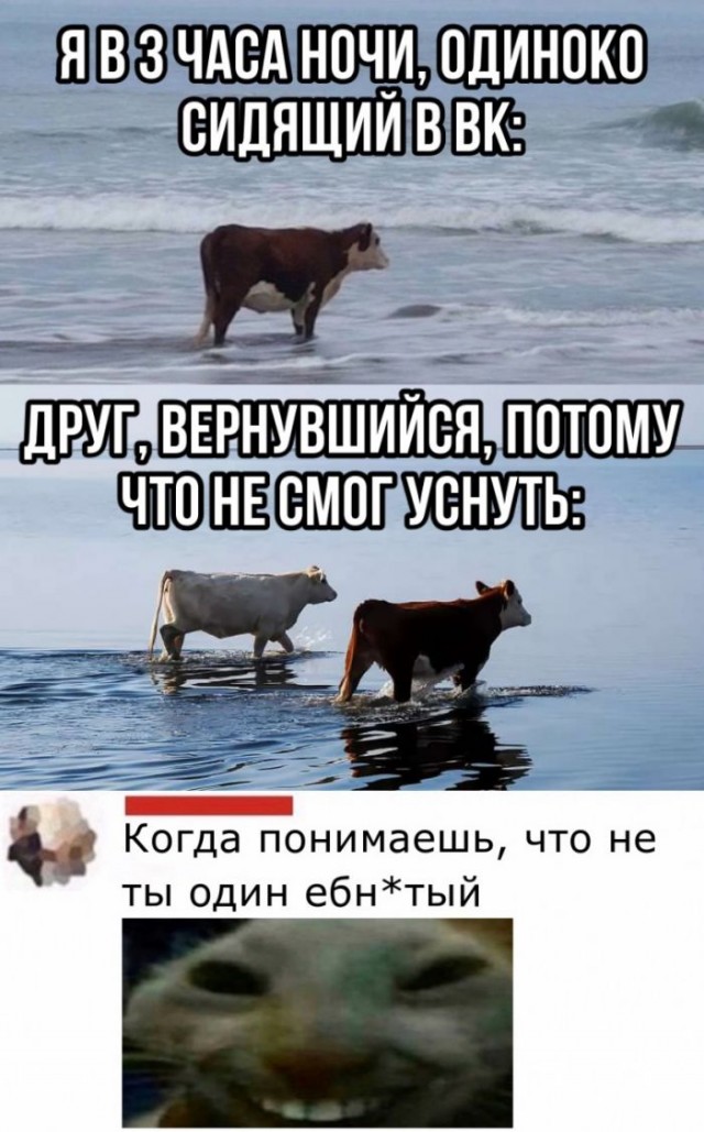 Картинки разнообразные. На злобу дня и на доброту (28.07)