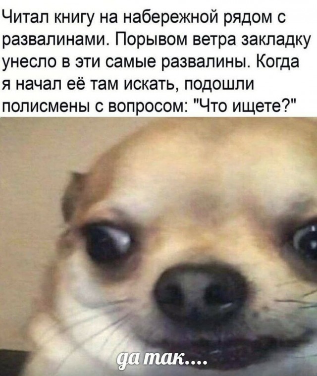 Юмор в картинках 01.09.20