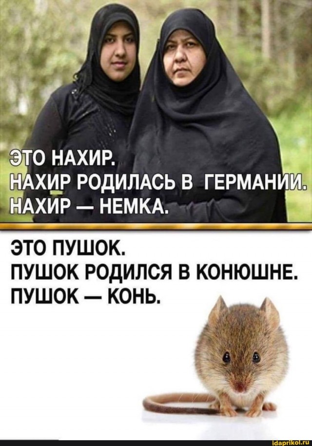 Картинки и мемы для настроения 010