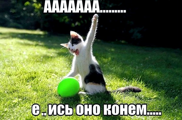 Анекдоты  с матом  и без