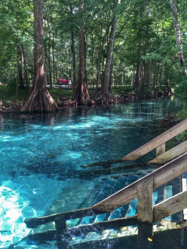 Картинки и мемы для настроения