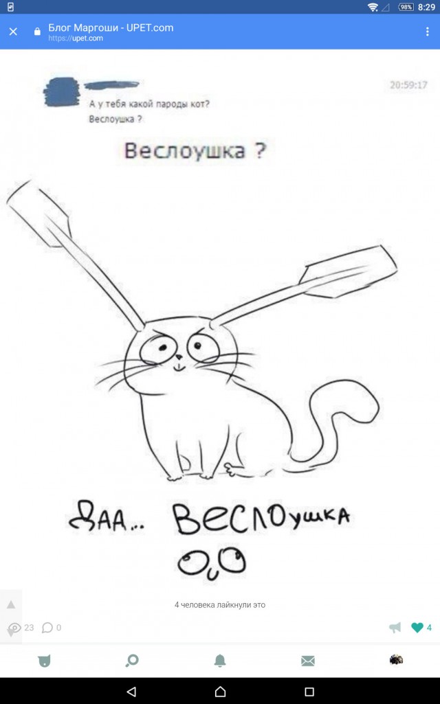 6 ошибок в русском языке, которые стали эпическими: 9 вити эташка, вкрации и другие