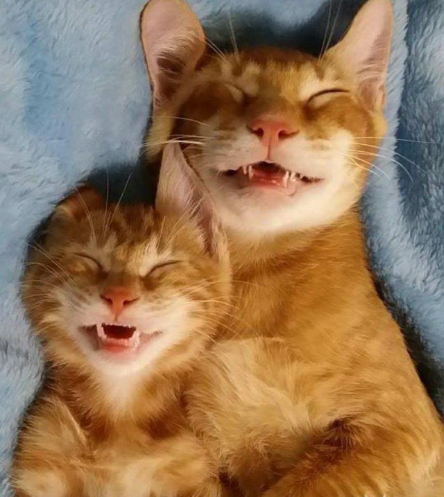 Калейдоскоп картинок