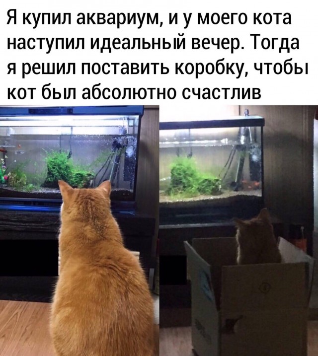 Всяческие картинки 16.06.2021
