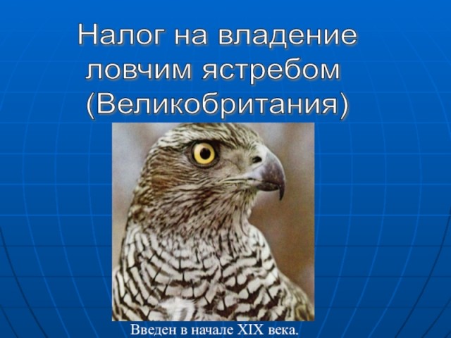 Налоги, налоги, налоги