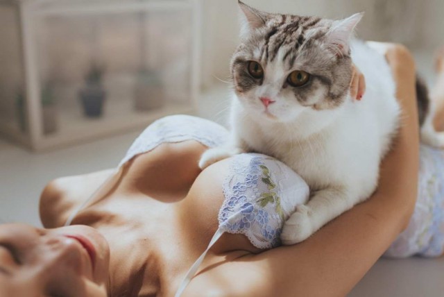 Девушки котовторника