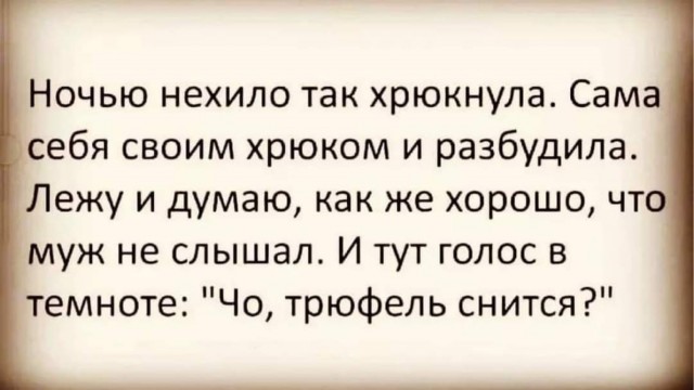 Палитра разума