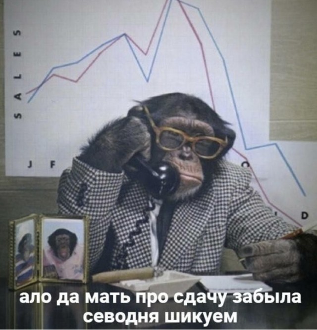 Весёлый полтишок 5.09