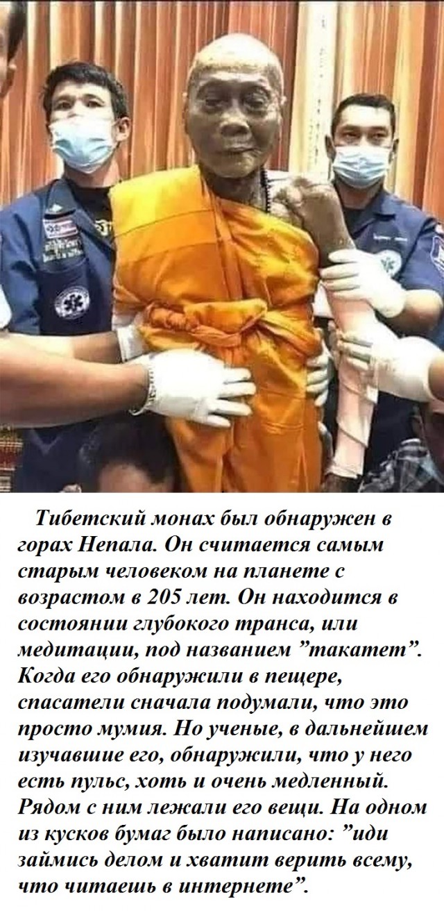 Весёлый полтишок 23.11