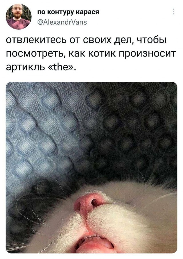 Бредзона 31.12.2021