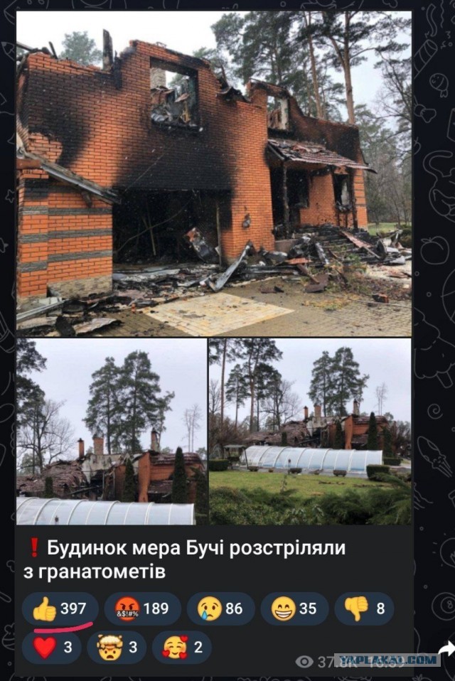 Почему столько жестокости? И никто ее не осуждает, я уже молчу про наказание?